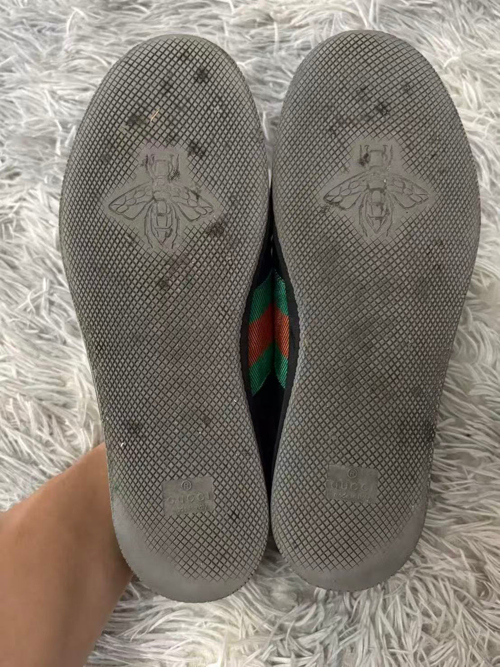 Gucci Screener Web Sneakers
