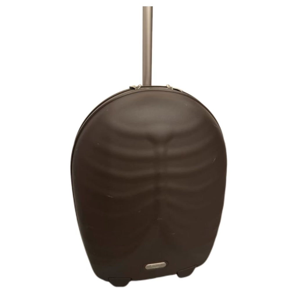 Alexander Mcqueen Samsonite 2007 Black Label Hero Suitcase