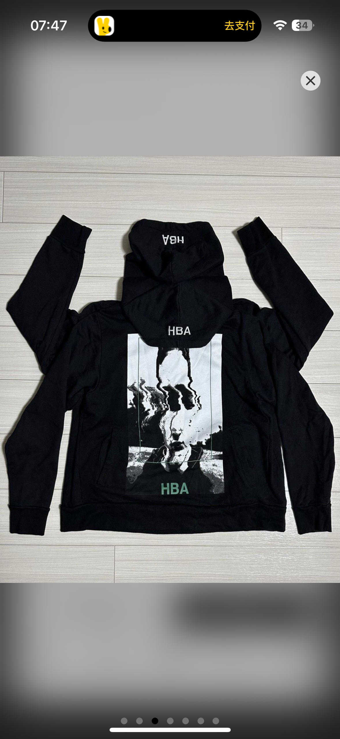 Hood by air twin hoodie