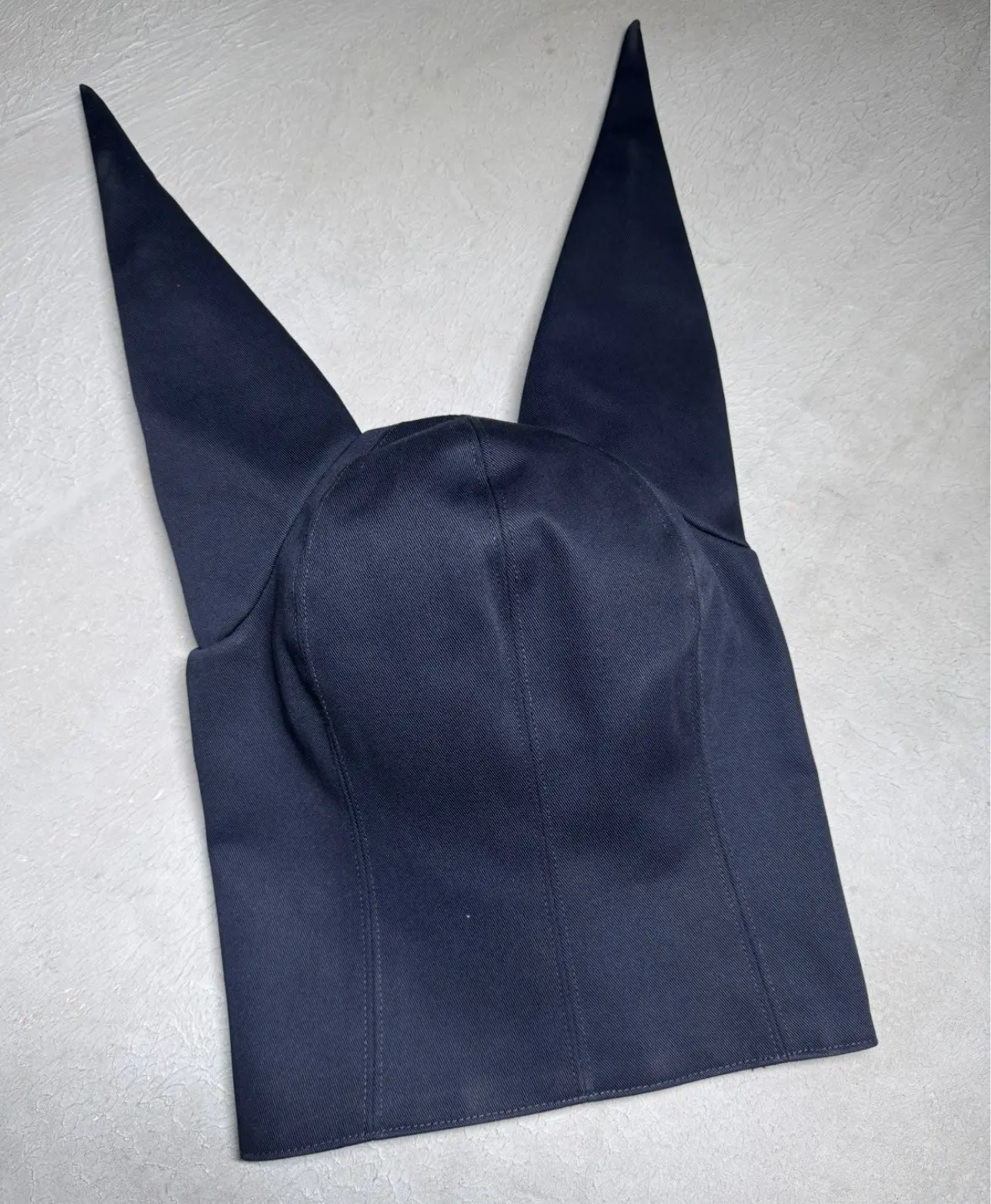 Anonymous club dunce cap