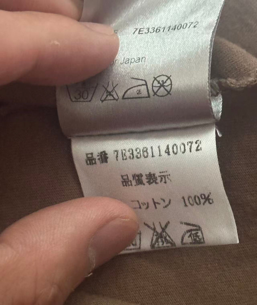 Dior Homme 07SS Bruce Lee Palm Tree Tee