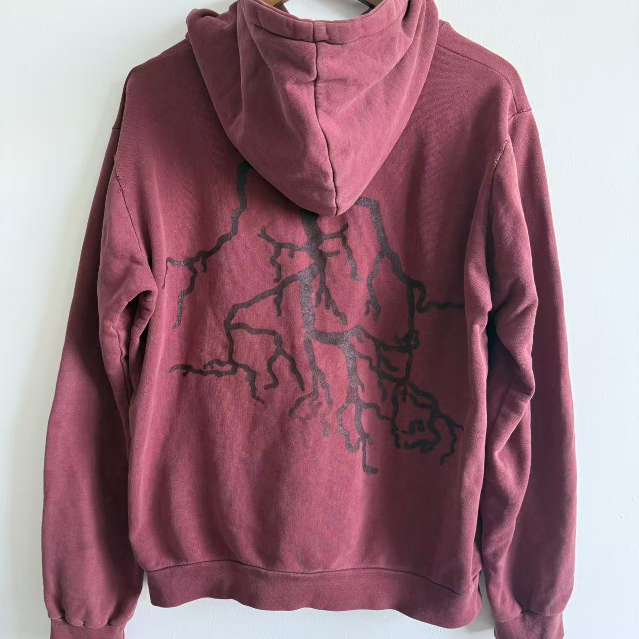 Raf Simons Virginia Creeper aw02—03 roots hoodie