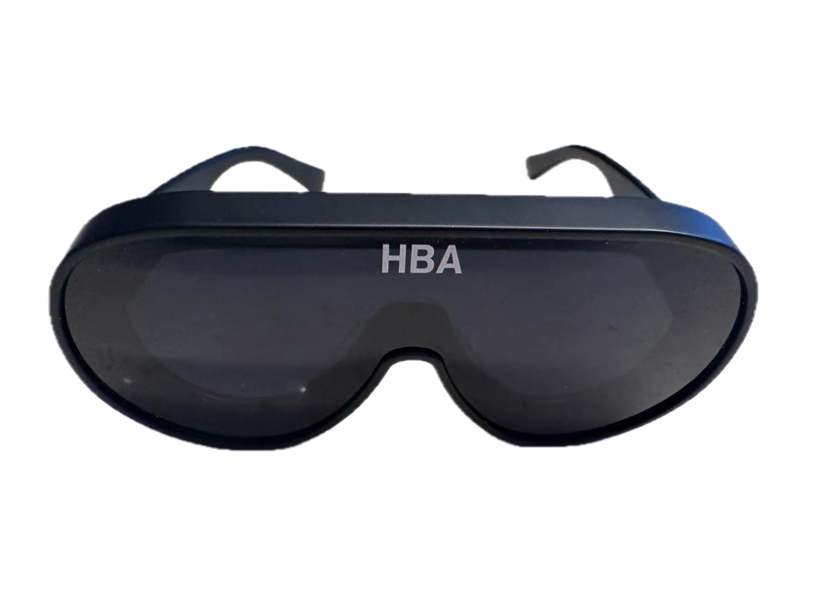 Hood By Air Sunglasses-Rare