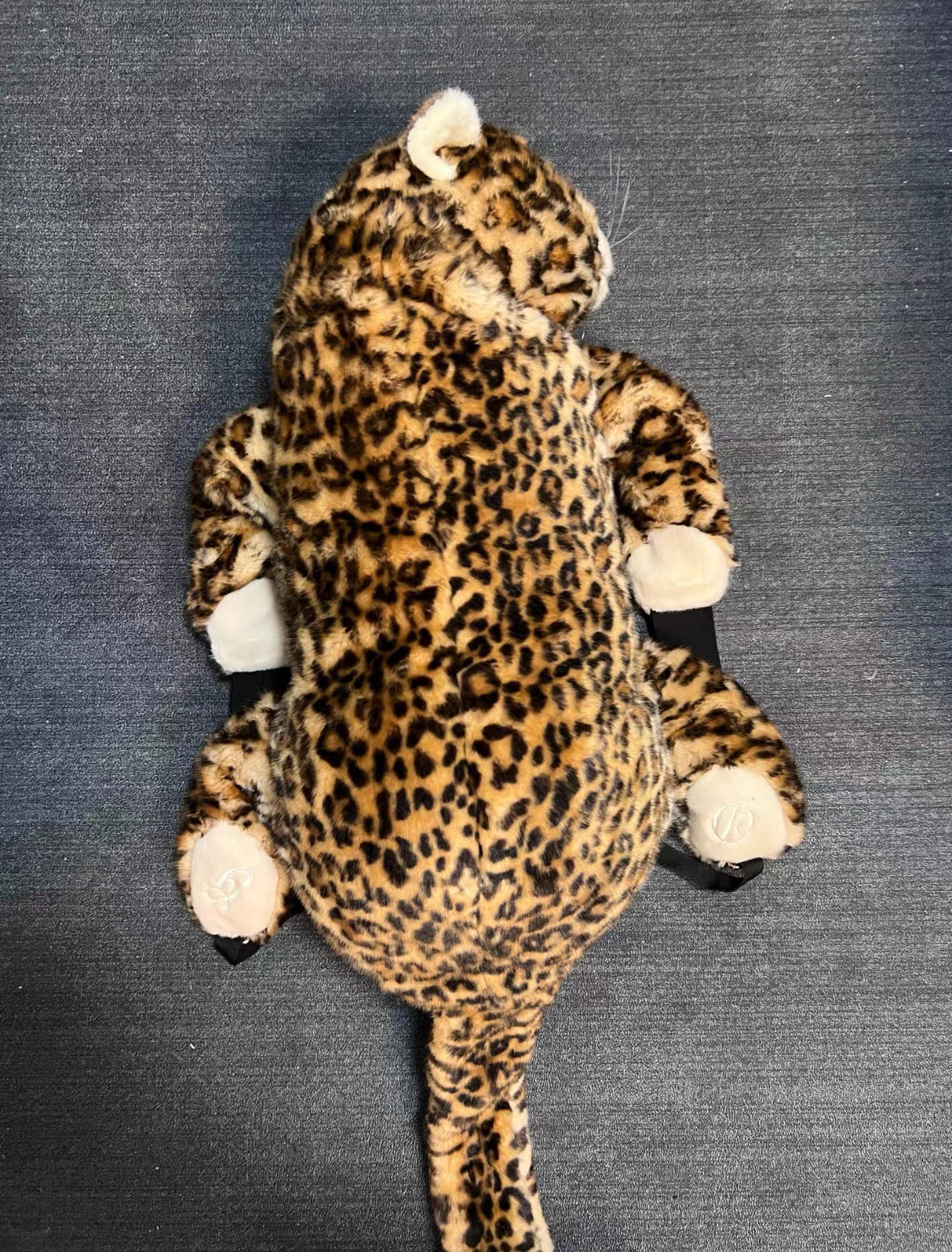 Dolce & Gabbana fw17 cheetah backpack