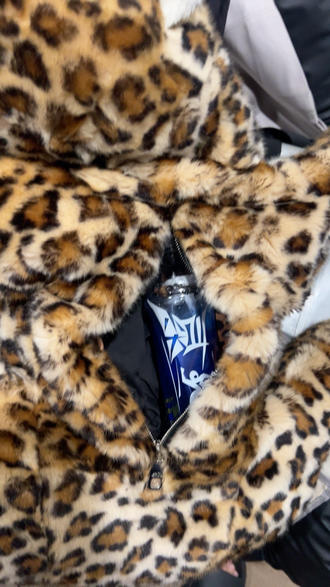Dolce & Gabbana fw17 cheetah backpack
