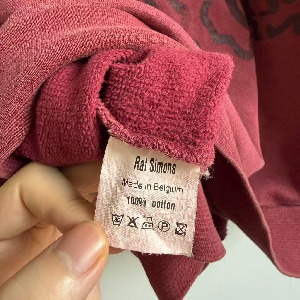 Raf Simons Virginia Creeper aw02—03 roots hoodie