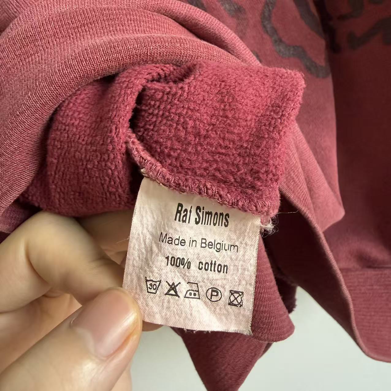 Raf Simons Virginia Creeper aw02—03 roots hoodie