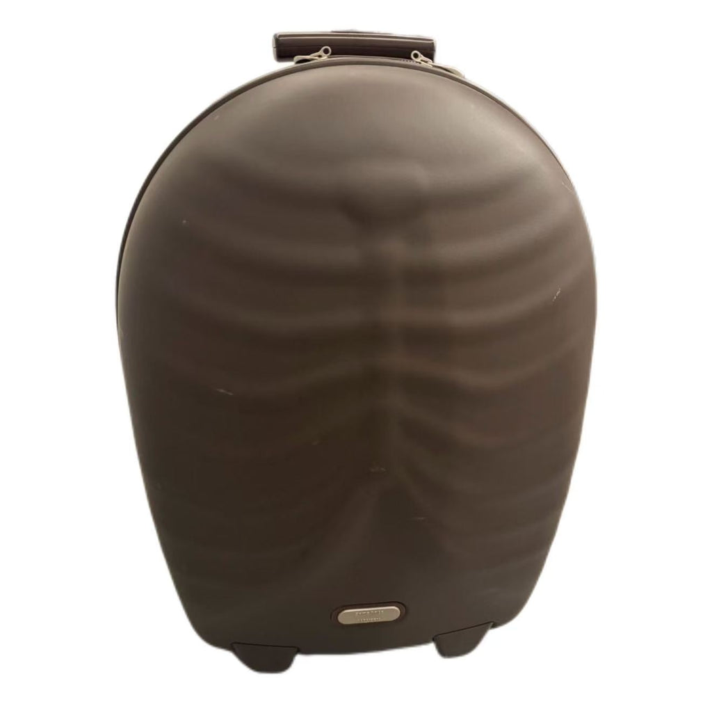 Alexander Mcqueen Samsonite 2007 Black Label Hero Suitcase